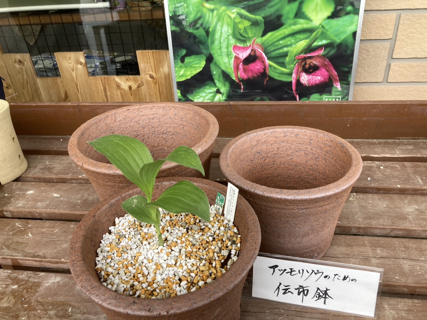 水冷鉢