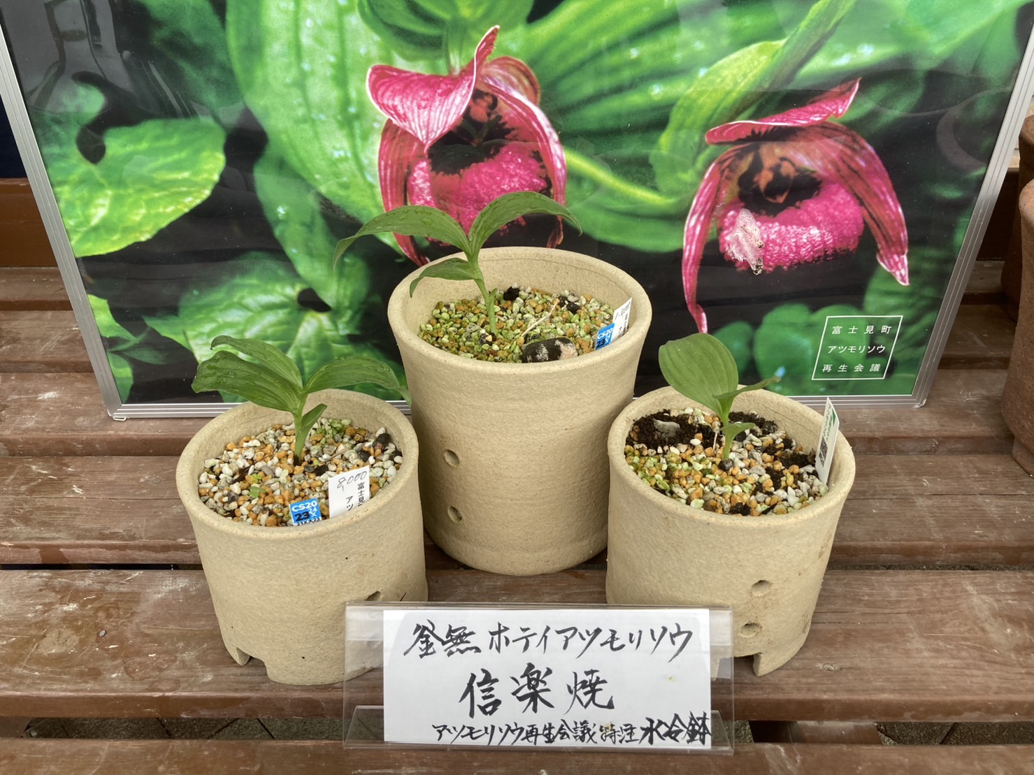 水冷鉢