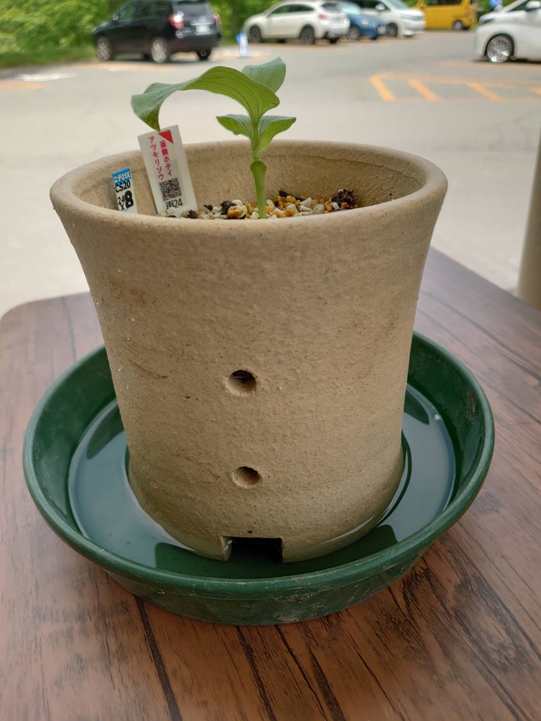 水冷鉢