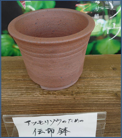 商品